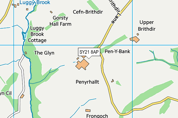 SY21 8AP map - OS VectorMap District (Ordnance Survey) SY21 8AP map - OS VectorMap District (Ordnance Survey)