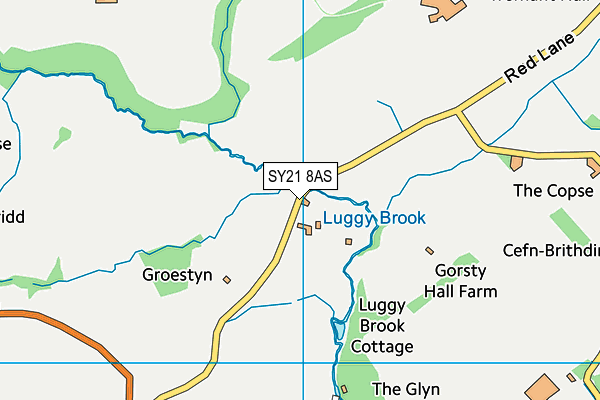 SY21 8AS map - OS VectorMap District (Ordnance Survey) SY21 8AS map - OS VectorMap District (Ordnance Survey)