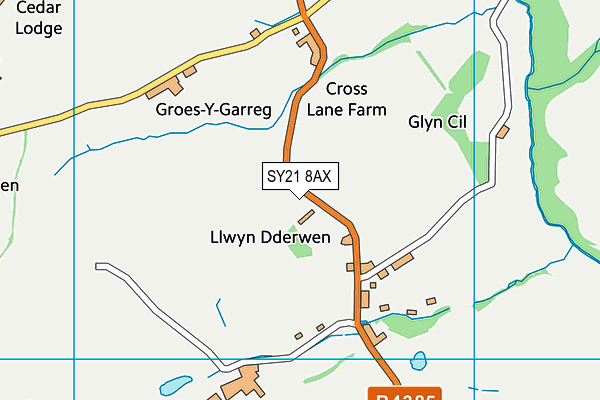 SY21 8AX map - OS VectorMap District (Ordnance Survey)