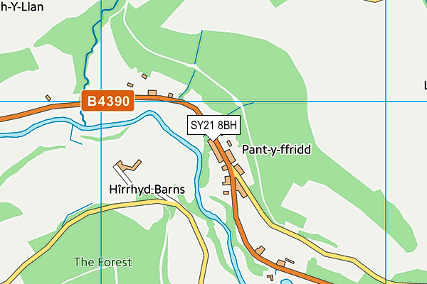 SY21 8BH map - OS VectorMap District (Ordnance Survey) SY21 8BH map - OS VectorMap District (Ordnance Survey)