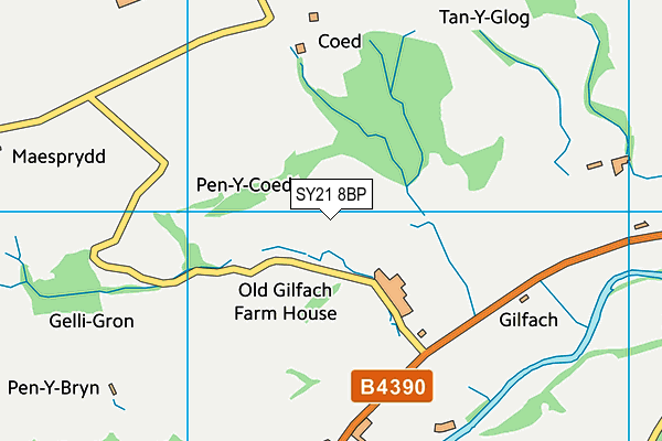 SY21 8BP map - OS VectorMap District (Ordnance Survey) SY21 8BP map - OS VectorMap District (Ordnance Survey)