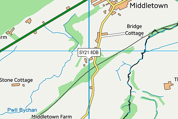 SY21 8DB map - OS VectorMap District (Ordnance Survey) SY21 8DB map - OS VectorMap District (Ordnance Survey)