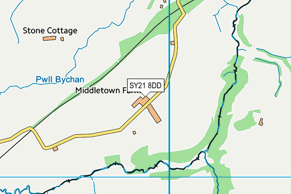 SY21 8DD map - OS VectorMap District (Ordnance Survey) SY21 8DD map - OS VectorMap District (Ordnance Survey)