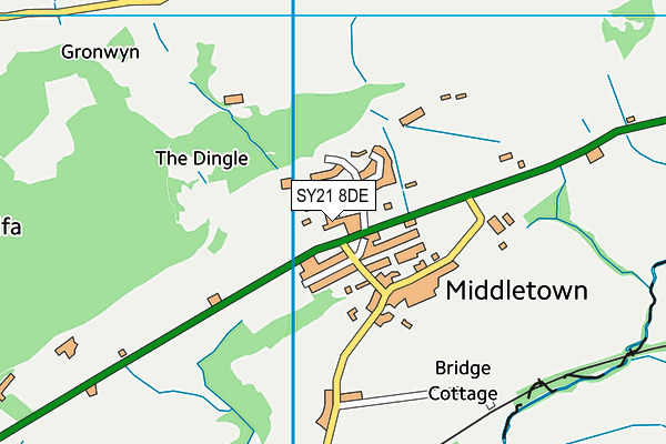 SY21 8DE map - OS VectorMap District (Ordnance Survey) SY21 8DE map - OS VectorMap District (Ordnance Survey)