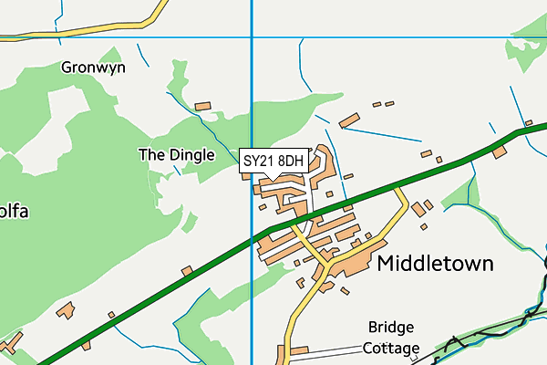 SY21 8DH map - OS VectorMap District (Ordnance Survey) SY21 8DH map - OS VectorMap District (Ordnance Survey)