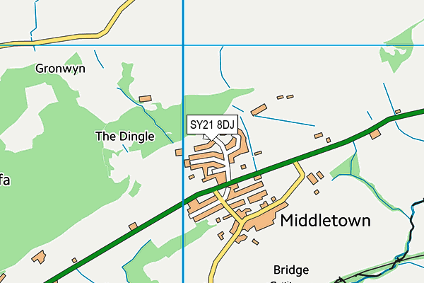 SY21 8DJ map - OS VectorMap District (Ordnance Survey) SY21 8DJ map - OS VectorMap District (Ordnance Survey)