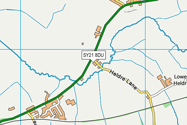 SY21 8DU map - OS VectorMap District (Ordnance Survey) SY21 8DU map - OS VectorMap District (Ordnance Survey)