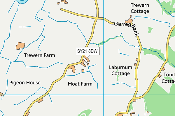 SY21 8DW map - OS VectorMap District (Ordnance Survey) SY21 8DW map - OS VectorMap District (Ordnance Survey)