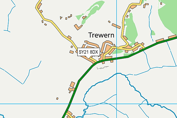 SY21 8DX map - OS VectorMap District (Ordnance Survey) SY21 8DX map - OS VectorMap District (Ordnance Survey)