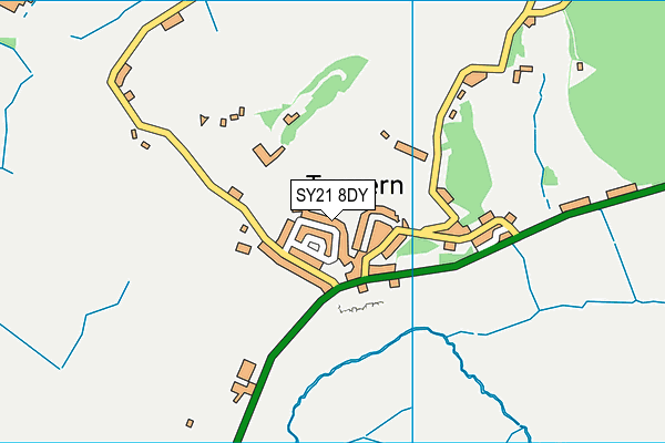 SY21 8DY map - OS VectorMap District (Ordnance Survey) SY21 8DY map - OS VectorMap District (Ordnance Survey)