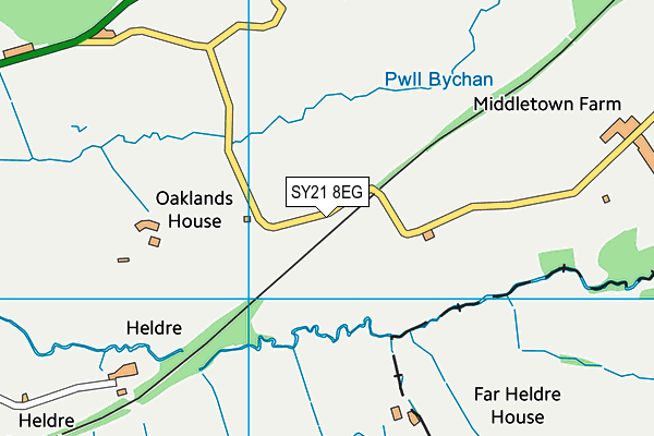 SY21 8EG map - OS VectorMap District (Ordnance Survey) SY21 8EG map - OS VectorMap District (Ordnance Survey)