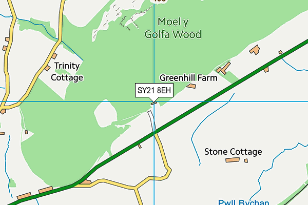 SY21 8EH map - OS VectorMap District (Ordnance Survey) SY21 8EH map - OS VectorMap District (Ordnance Survey)