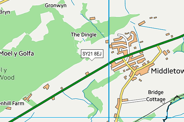 SY21 8EJ map - OS VectorMap District (Ordnance Survey) SY21 8EJ map - OS VectorMap District (Ordnance Survey)