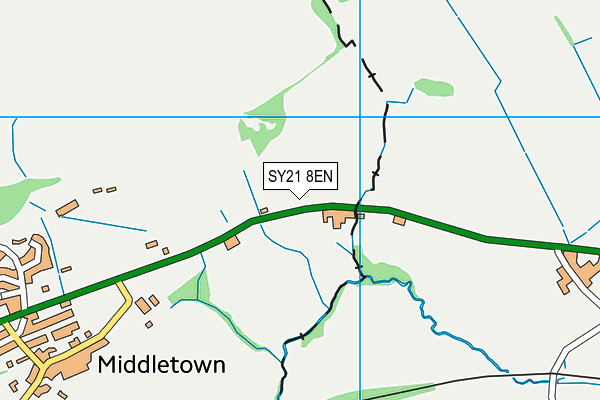 SY21 8EN map - OS VectorMap District (Ordnance Survey) SY21 8EN map - OS VectorMap District (Ordnance Survey)