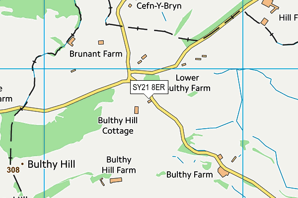 SY21 8ER map - OS VectorMap District (Ordnance Survey) SY21 8ER map - OS VectorMap District (Ordnance Survey)