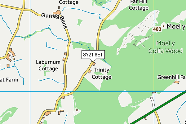 SY21 8ET map - OS VectorMap District (Ordnance Survey) SY21 8ET map - OS VectorMap District (Ordnance Survey)