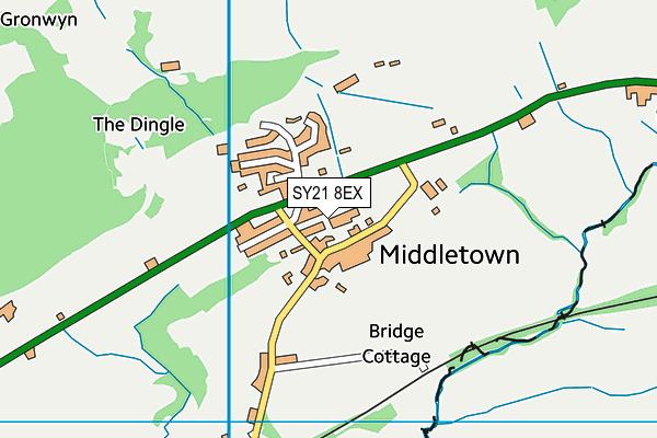 SY21 8EX map - OS VectorMap District (Ordnance Survey) SY21 8EX map - OS VectorMap District (Ordnance Survey)