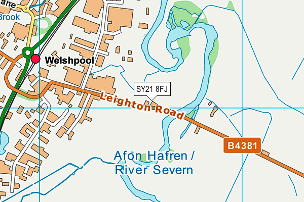 SY21 8FJ map - OS VectorMap District (Ordnance Survey) SY21 8FJ map - OS VectorMap District (Ordnance Survey)