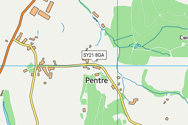 SY21 8GA map - OS VectorMap District (Ordnance Survey) SY21 8GA map - OS VectorMap District (Ordnance Survey)