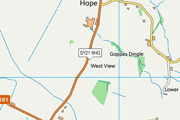 SY21 8HG map - OS VectorMap District (Ordnance Survey) SY21 8HG map - OS VectorMap District (Ordnance Survey)