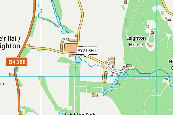 SY21 8HJ map - OS VectorMap District (Ordnance Survey) SY21 8HJ map - OS VectorMap District (Ordnance Survey)