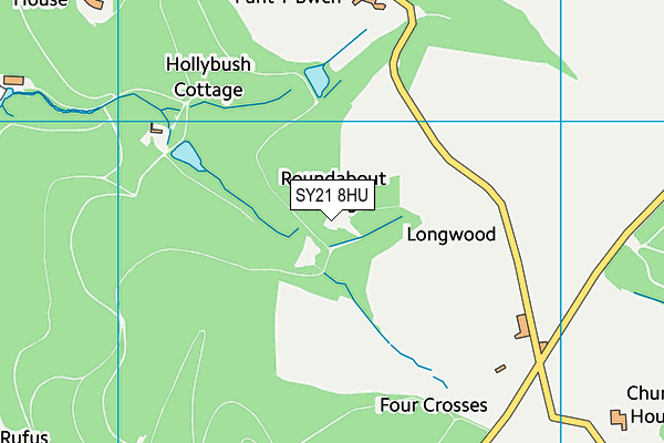 SY21 8HU map - OS VectorMap District (Ordnance Survey) SY21 8HU map - OS VectorMap District (Ordnance Survey)