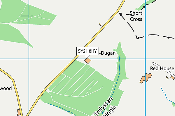 SY21 8HY map - OS VectorMap District (Ordnance Survey) SY21 8HY map - OS VectorMap District (Ordnance Survey)