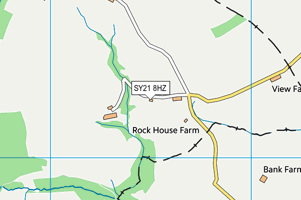 SY21 8HZ map - OS VectorMap District (Ordnance Survey) SY21 8HZ map - OS VectorMap District (Ordnance Survey)