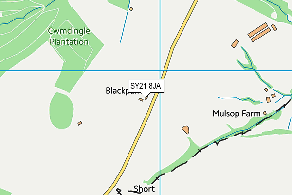 SY21 8JA map - OS VectorMap District (Ordnance Survey) SY21 8JA map - OS VectorMap District (Ordnance Survey)