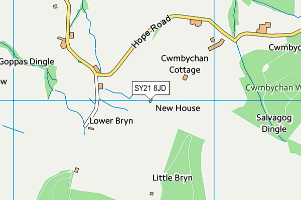 SY21 8JD map - OS VectorMap District (Ordnance Survey) SY21 8JD map - OS VectorMap District (Ordnance Survey)