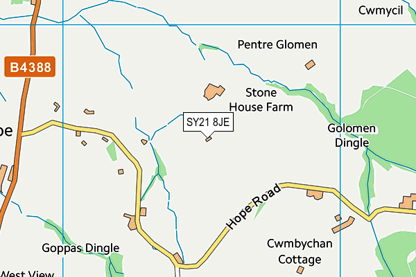 SY21 8JE map - OS VectorMap District (Ordnance Survey)