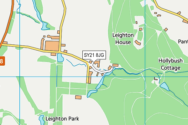 SY21 8JG map - OS VectorMap District (Ordnance Survey) SY21 8JG map - OS VectorMap District (Ordnance Survey)