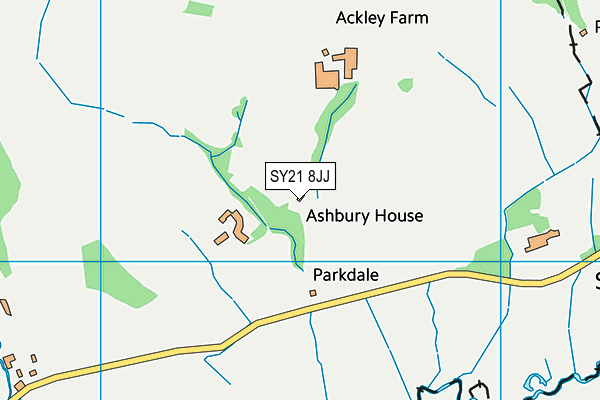 SY21 8JJ map - OS VectorMap District (Ordnance Survey) SY21 8JJ map - OS VectorMap District (Ordnance Survey)