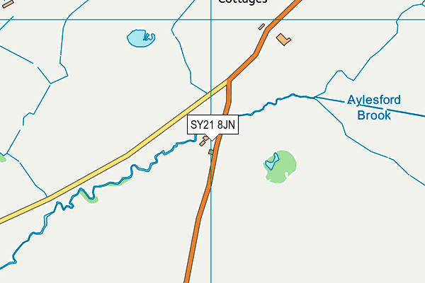 SY21 8JN map - OS VectorMap District (Ordnance Survey) SY21 8JN map - OS VectorMap District (Ordnance Survey)