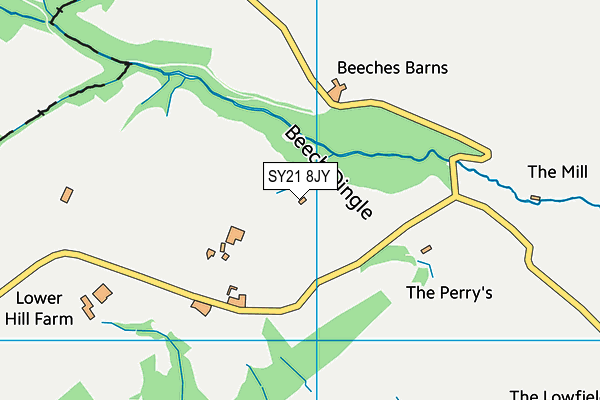 SY21 8JY map - OS VectorMap District (Ordnance Survey) SY21 8JY map - OS VectorMap District (Ordnance Survey)