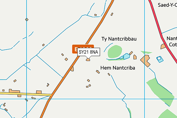 SY21 8NA map - OS VectorMap District (Ordnance Survey)
