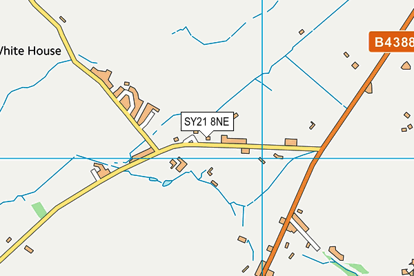 SY21 8NE map - OS VectorMap District (Ordnance Survey)