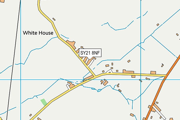 SY21 8NF map - OS VectorMap District (Ordnance Survey) SY21 8NF map - OS VectorMap District (Ordnance Survey)