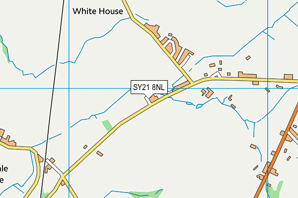 SY21 8NL map - OS VectorMap District (Ordnance Survey) SY21 8NL map - OS VectorMap District (Ordnance Survey)
