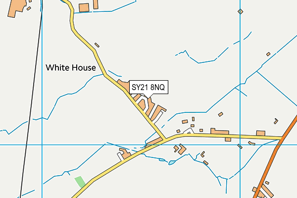 SY21 8NQ map - OS VectorMap District (Ordnance Survey)