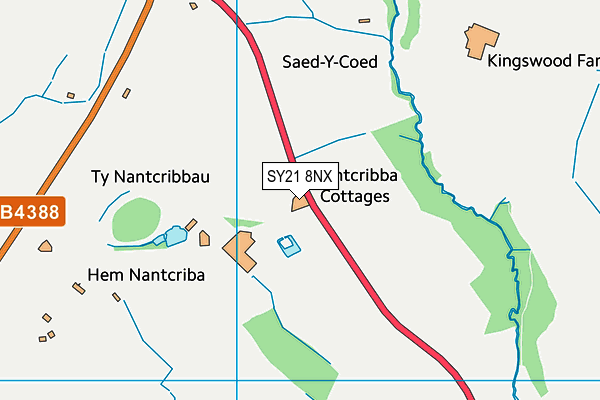 SY21 8NX map - OS VectorMap District (Ordnance Survey) SY21 8NX map - OS VectorMap District (Ordnance Survey)