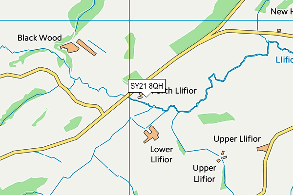 SY21 8QH map - OS VectorMap District (Ordnance Survey) SY21 8QH map - OS VectorMap District (Ordnance Survey)