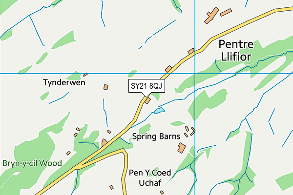 SY21 8QJ map - OS VectorMap District (Ordnance Survey) SY21 8QJ map - OS VectorMap District (Ordnance Survey)