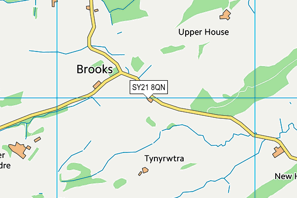 SY21 8QN map - OS VectorMap District (Ordnance Survey) SY21 8QN map - OS VectorMap District (Ordnance Survey)