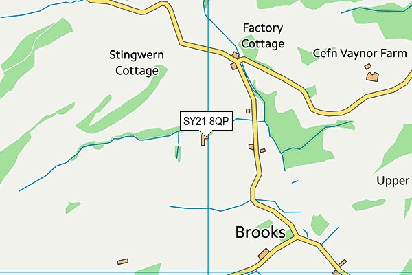 SY21 8QP map - OS VectorMap District (Ordnance Survey) SY21 8QP map - OS VectorMap District (Ordnance Survey)