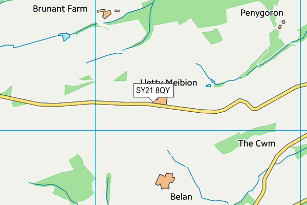 SY21 8QY map - OS VectorMap District (Ordnance Survey) SY21 8QY map - OS VectorMap District (Ordnance Survey)