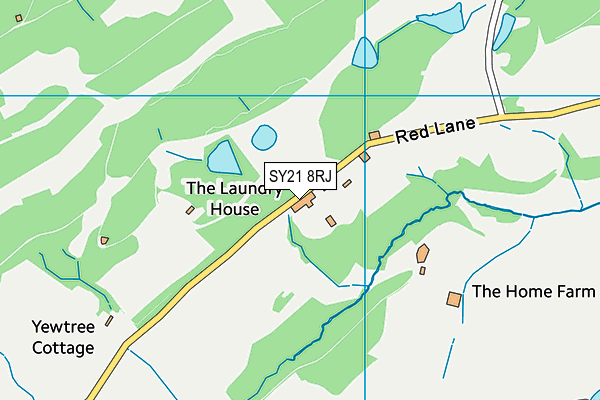 SY21 8RJ map - OS VectorMap District (Ordnance Survey) SY21 8RJ map - OS VectorMap District (Ordnance Survey)