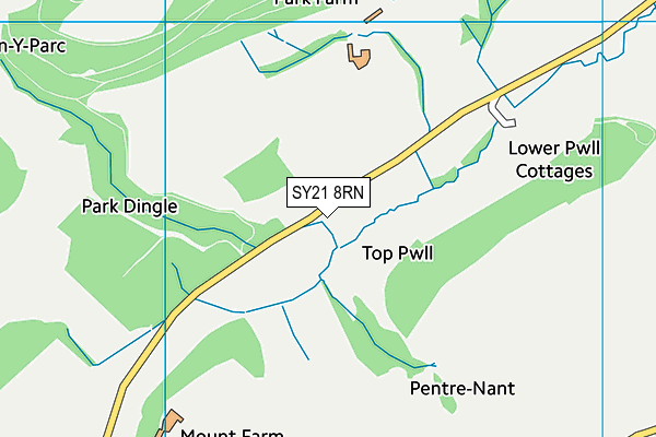 SY21 8RN map - OS VectorMap District (Ordnance Survey)