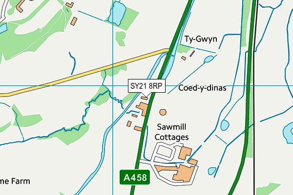 SY21 8RP map - OS VectorMap District (Ordnance Survey) SY21 8RP map - OS VectorMap District (Ordnance Survey)