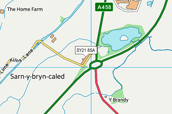 SY21 8SA map - OS VectorMap District (Ordnance Survey) SY21 8SA map - OS VectorMap District (Ordnance Survey)